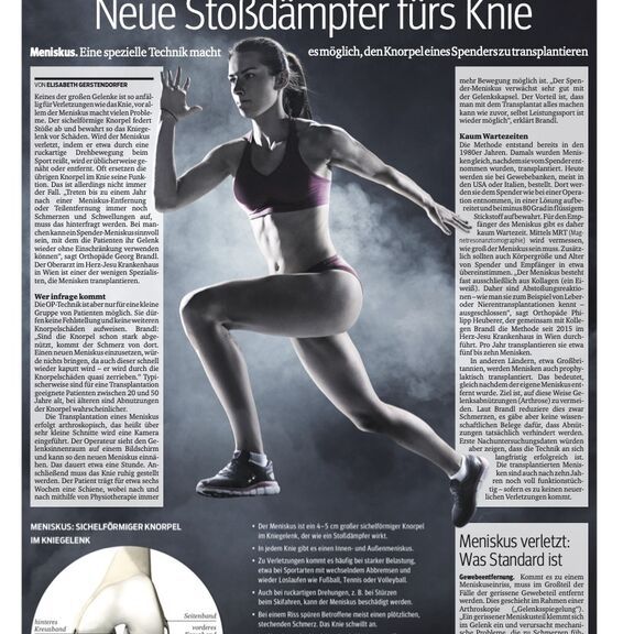KURIER Artikel Meniskustransplantation (Dr. Brandl)